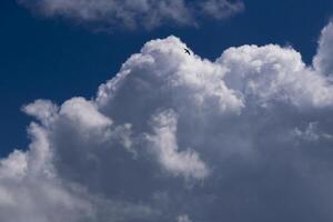 beautiful picture of clouds, cumulus clouds against a blue sky, a bird flying against a cloud, a symbol of freedom and aspiration photo