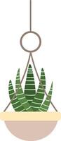 Minimalist illustration of a succulent plant with striped leaves in a hanging pot. The design features a simple, modern aesthetic perfect for home decor inspiration vector