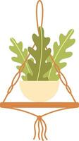Macrame plant hanger holding a beige pot with a plant with large green leaves hanging from a thread, creating a cozy and stylish home decoration vector