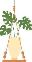 Monstera deliciosa plant hanging in a beige pot with macrame and wooden base, isolated on a white background, perfect for home decoration and bringing nature indoors vector