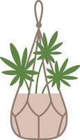 Stylish macrame plant hanger cradling a potted plant, infusing living spaces with bohemian charm and enhancing home decor with a touch of natural elegance vector