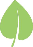 Light green leaf featuring a prominent central vein and stem, representing themes of nature, environment, ecology, and sustainability, isolated against a clean white background vector