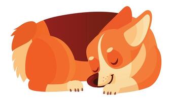 Adorable welsh corgi dog sleeping peacefully, curled up with its eyes closed, enjoying a relaxing nap and dreaming sweet dreams, showcasing the tranquility and peacefulness of a beloved pet vector
