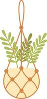 Decorative macrame plant hanger holding a small plant with green leaves, adding a touch of nature to interior design, promoting concepts of sustainability, handmade crafts, and home decoration vector