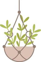 Macrame plant hanger showcasing a small green plant, enhancing home decor and bringing a refreshing touch of nature into any living space or room design vector