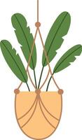 Lush green leaves cascading from a macrame plant hanger, adding a vibrant and stylish touch to modern home decor while enhancing the atmosphere of an inviting indoor space vector