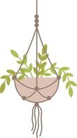 Decorative macrame plant hanger showcasing a small green plant, enhancing interior spaces with a touch of nature and bohemian flair, perfect for home decor enthusiasts vector