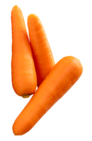 Three fresh orange carrot roots in strange stack isolated with clipping path in file format png