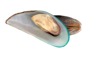 Cooked or steamed green mussels in strange heap isolated with clipping path in file format png