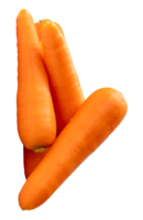 Four orange carrot roots in stack isolated with clipping path in file format png