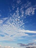 Fluffy white clouds drift lazily across a brilliant blue sky, with a lone white seagull soaring through them, its black and white wing markings adding a striking contrast. photo