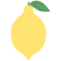 Lemon illustration with transparent background png