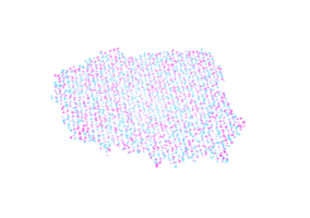 Illuminated Poland Digital Data Map Pink And Blue Neon Glowing Particles 3D Illustration png