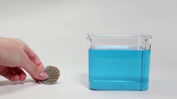 A hand drops a shell into a clear container of blue water, observing its sinking behavior video