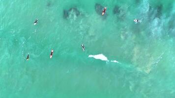 Aerial footage captures surfers navigating turquoise waves in Ocean Grove, Australia. Bright daylight enhances the vibrant sea and dynamic motion video