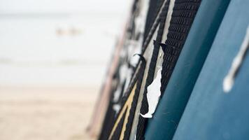 Abstract background of old surfboard. Leaning against the blurry beach and showing bright sunlight. photo