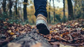Exploring nature trails autumn forest outdoor adventure scenic landscape close-up view tranquility and reflection photo