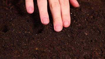Close-up of hands planting seeds in dark, moist soil under soft lighting, highlighting gardening and growth video
