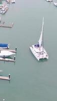 A sailboat glides through a marina in Port Douglas, Australia. Calm waters and soft lighting create a serene atmosphere video
