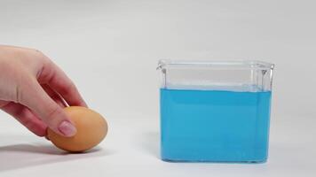 A hand places an egg into blue liquid, demonstrating buoyancy. The egg initially floats, then sinks, in a clear container video