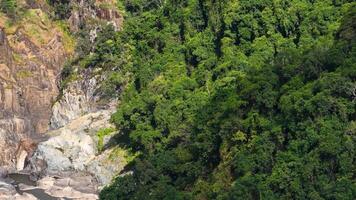 Aerial footage captures dense green forest and rugged rocky landscape under bright daylight in Port Douglas, Queensland video
