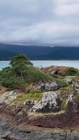 A serene coastal landscape with rocky terrain, lush greenery, and distant mountains under a cloudy sky in Port Douglas video