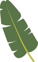 Exotic Green Tropical Leaves. Isolated on White Background vector