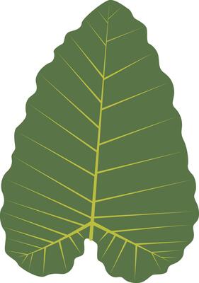 Exotic Green Tropical Leaves Isolated on White Background