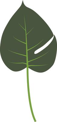 Exotic Green Tropical Leaves. Design Element