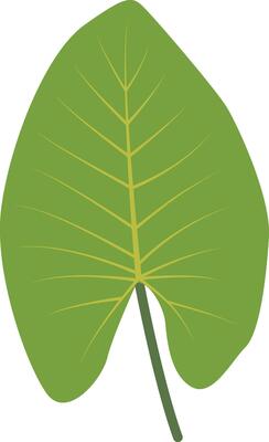 Exotic Green Tropical Leaves Illustration in Cartoon Design