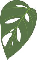 Exotic Green Tropical Leaves in Flat Design vector