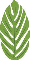 Exotic Green Tropical Leaves Isolated on White Background. vector