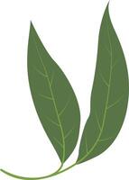 Exotic Green Tropical Leaves. Design Element. vector