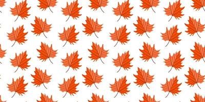 A Colorful Autumn Maple Leaves Pattern that Captures the Essence of the Fall Season vector