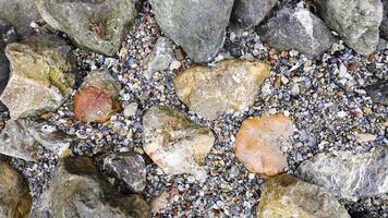 Close-up view of rocks and pebbles video