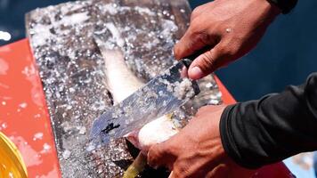 Hands scaling fish on a boat in Phuket video