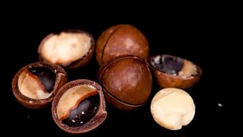Macadamia nuts arranged on a dark surface video