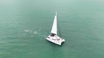 Drone captures a catamaran sailing smoothly over turquoise waters near Port Douglas, Queensland, under bright daylight video