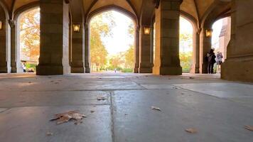Leaves scattered on a quiet university pathway video