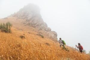 Hikers Exploring a Foggy Mountain Trail on a Serene Morning photo