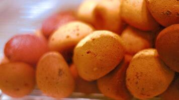 Assorted bread rolls in a bakery display video