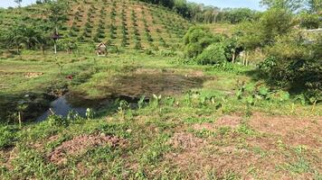 Progression of agricultural work in a rural setting video