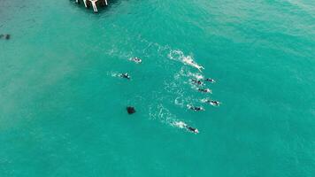 Drone captures swimmers in turquoise waters near Port Campbell, Australia. Dynamic movement and teamwork are highlighted in this vibrant scene video