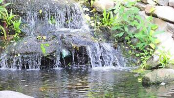 Serene waterfall flowing over rocks into pond video
