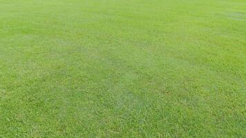 Aerial view of expansive green grass field video
