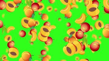 Peaches and cherries falling on a green background video