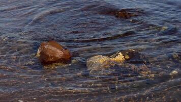 Waves interacting with rocks on Brighton beach video