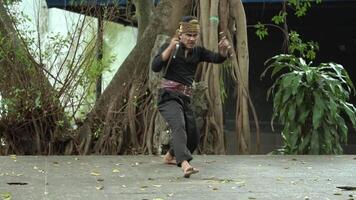 A martial artist performing a dynamic pose outdoors, surrounded by trees and greenery. The individual is dressed in traditional attire, showcasing a blend of movement and nature. video