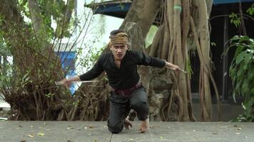 A martial artist in traditional attire performs a stance in a natural outdoor setting surrounded by trees and greenery. video