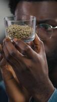 Close up African American Caucasian men inspect coffee cups study differences examine aroma texture concentration roasting quality small business flavor expertise roaster comparison factory process video